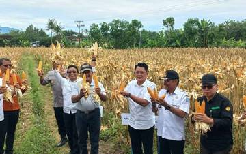 DP3 Sleman Genjot Produktivitas Lahan Pertanian
