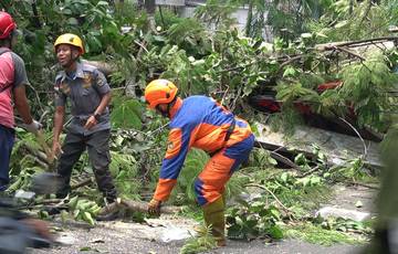 BPBD Kota Yogyakarta Catat Kerusakan Dampak Siklon Luana