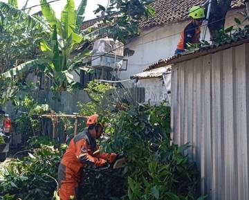 Lagi, Pohon Tumbang-Atap Rusak Imbas Cuaca Ekstrem