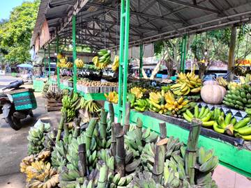 Kehadiran Pasar Buah Lengkapi Kawasan Wisata Pantai Baron