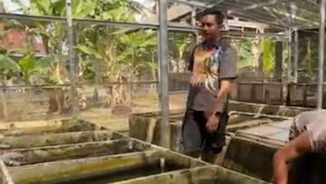 DPRD DIY Tinjau Potensi Desa Wisata Dewi Kajii