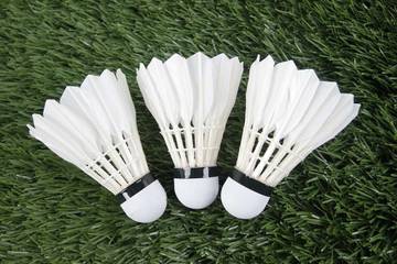 Timnas Badminton Indonesia Berlaga di BATC, Ini Jadwalnya 