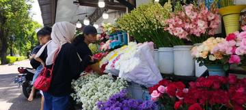 Jelang Valentine Day Penjualan Bunga di Kotabaru Masih Sepi 