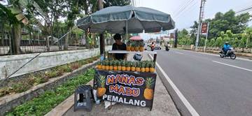Sahuri Bertahan Belasan Tahun Mengais Rejeki dari Nanas Pemalang 
