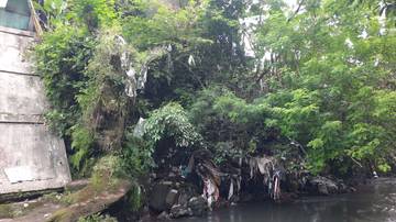 Cuaca Ekstrem, Dahan Patah-Talud Longsor Terjadi di Yogyakarta