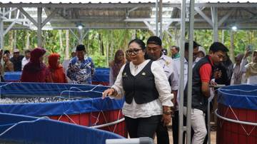 Dukung MBG, KDMP Genjahan Kembangkan Lele Bioflok