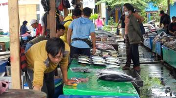 Pasar Ikan Hamadi Jayapura Jual Ikan Mati Sekali