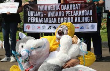 Usul Undang-undang Larangan Perdagangan Daging Anjing dan Kucing