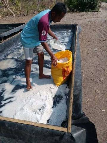 Masyarakat Pulau Ende Mulai Tekuni Usaha Produksi Garam 