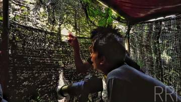Potensi Ekowisata Pengamatan Burung Endemik di Moya