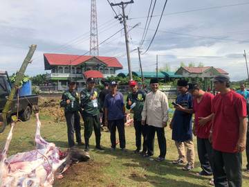 Pj Walikota Imran Tinjau Penyembelihan Hewan Qurban