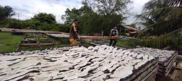 Produksi Ikan Asin di Aceh Barat Menurun