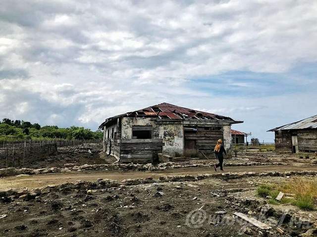 Belajar dari Pengalaman Kelam, Menyemai Mangrove untuk Kehidupan