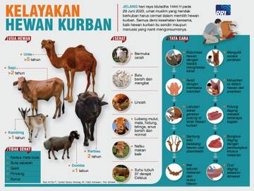 Kelayakan Hewan Kurban