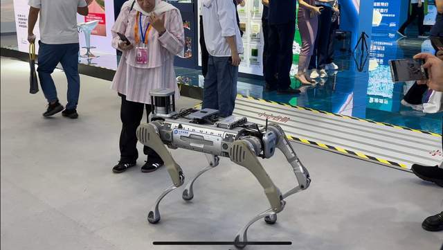 China Pamerkan Robot Canggih di CIFTIS 2024