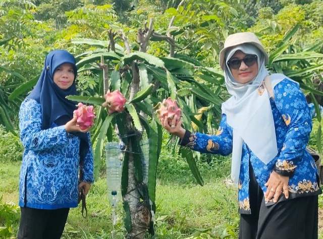 Sabang Siap Kembangkan Agrowisata