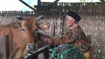 Kakek Taram Pengembala Sapi Asal Bangkalan Berangakat Haji
