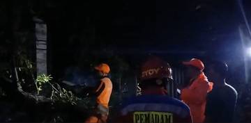 Pohon Tumbang Rusak Dua Rumah di Kalipasir