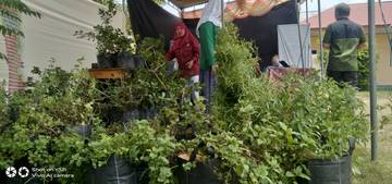 Ekspo Dan Pameran Tanaman, SMK PPN Gorontalo