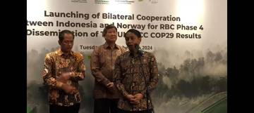 Pemerintah Akan Reforestasi Lahan Kritis Kawasan Hutan