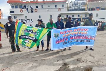 Suporter Berlayar Menuju Jayapura,Dukung PSBS di Stadion Lukas Enembe