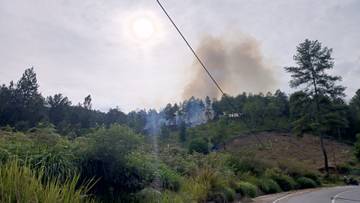 Dua Hari Tidak Hujan, Lahan Terbakar di Gayo Lues