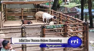 Serunya Wisata Mini Zoo Kemuning, Murah dan Edukatif