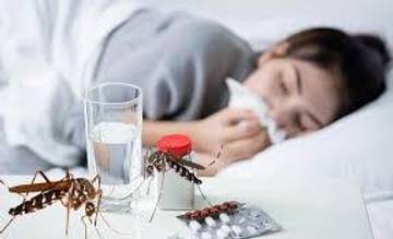 Kasus Malaria di Pohuwato Meningkat