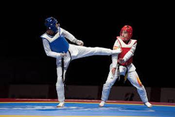 Pengprov Taekwondo Fokus Bina Atlet Usia Dini 