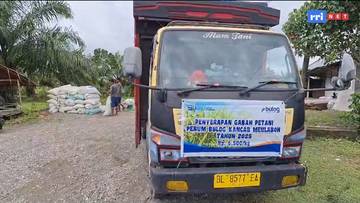 Bulog Beli Padi Petani dengan Harga yang Baik