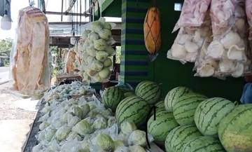 Pemudik Menurun, Penjualan Jambu Kristal Purworejo Lesu