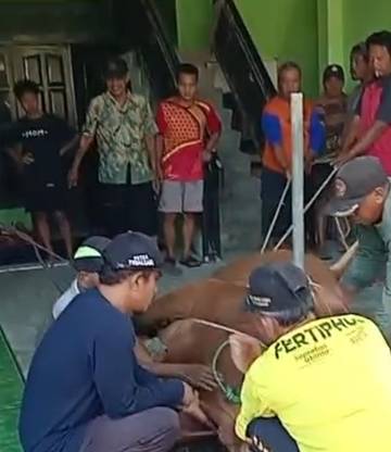 Jamaah Mushola Al Iman Berkurban di Idul Adha 