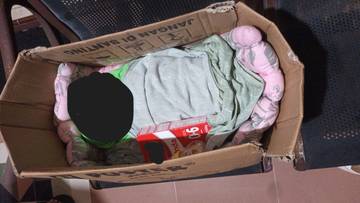 Bayi Perempuan Ditemukan Dalam Kardus di Teras Rumah