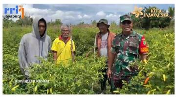 Kasiter Korem 172/PWY Motivasi Petani Cabai di Yanaria
