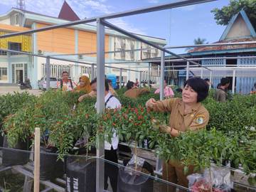 Potensi Pekarangan Kantor OPD Untuk Tekan Inflasi daerah