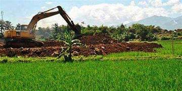 Degradasi Lahan Ancam Ketahanan Pangan