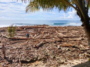 Layak Digunakan, Warga Manfaatkan Kayu yang Terdampar di-Bawozaua