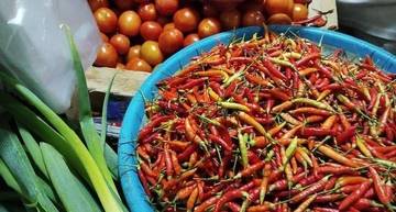 Harga Cabai Meroket Jelang Nataru