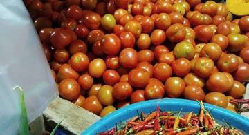 Stok Minim, Harga Tomat Naik
