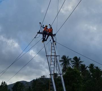 Pohon Kelapa Tumbang Akibatkan Listrik Padam