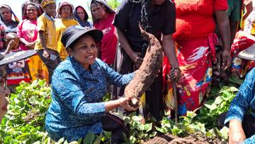 TP-PKK Bersama Petani Ubi Panen Raya di Aslogaima