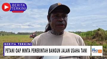 Petani OAP Minta Pemerintah Bangun Jalan Usaha Tani
