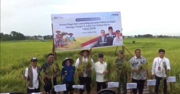 Panen Raya Maros, Bulog Target Serap 4 Juta Ton