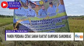 Petani OAP Minta Pemerintah Bangun Jalan Usaha Tani