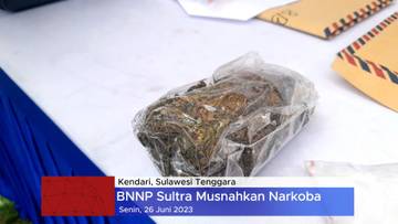 Peringati HANI 2023, BNNP Sultra Musnahkan Sabu dan Ganja