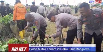 Polda Sultra Tanam 20 Ribu Bibit Mangrove