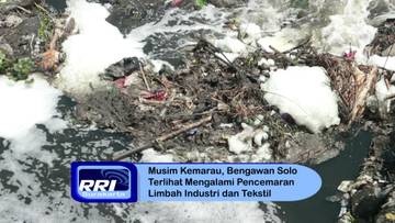 Sungai Bengawan Solo Tercemar, Pemancing: Ikannya Paling Enak