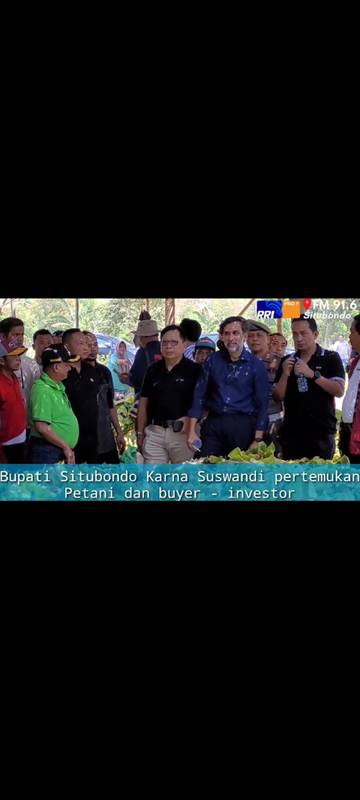 Tembakau Kasturi Situbondo Dilirik Investor 