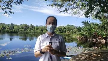 Melihat Endemis 'Anggrek Pensil' di Cagar Budaya Danau Dendam Tak Sudah 