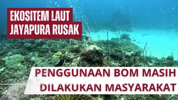 Ekosistem Laut Jayapura Rusak Akibat Penggunaan Bom Ikan 